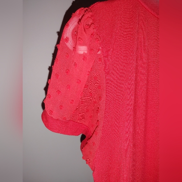 Top with pretty sheer Swiss dot sleeves - Picture 2 of 5